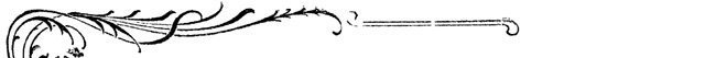 Decorative motif Decorative motif