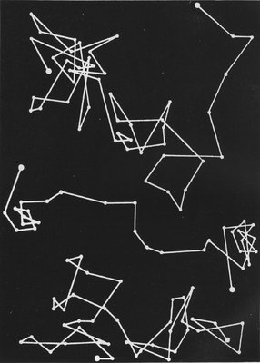THE BROWNIAN MOVEMENT