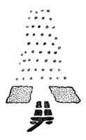 line drawing