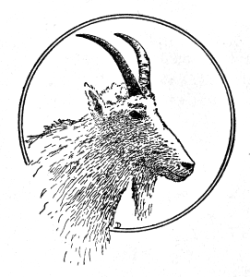line drawing: mountain goat line drawing: mountain goat
