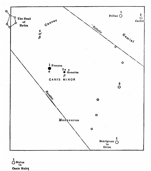CANIS MINOR