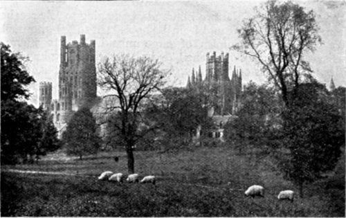 THE CATHEDRAL FROM THE SOUTH.