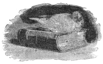 BLANCHE THE PIGEON
