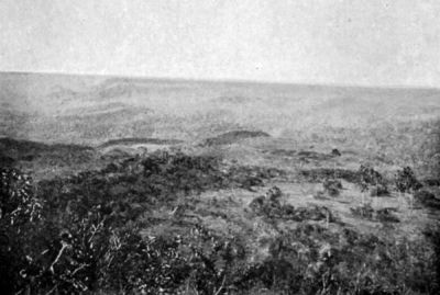 The Endless Campos of Matto Grosso.