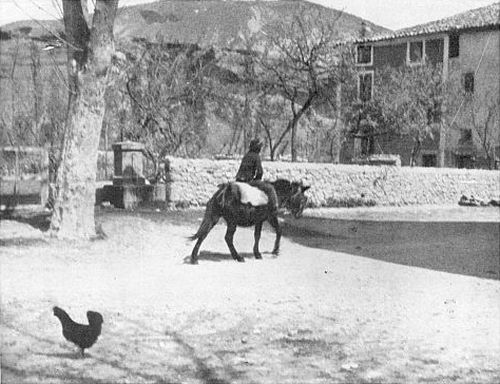 THE OPEN SQUARE