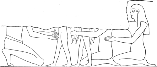 Egyptian Circumcision.