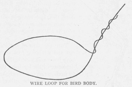 WIRE LOOP FOR BIRD BODY.