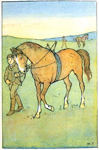 Man leading horse with a training rig