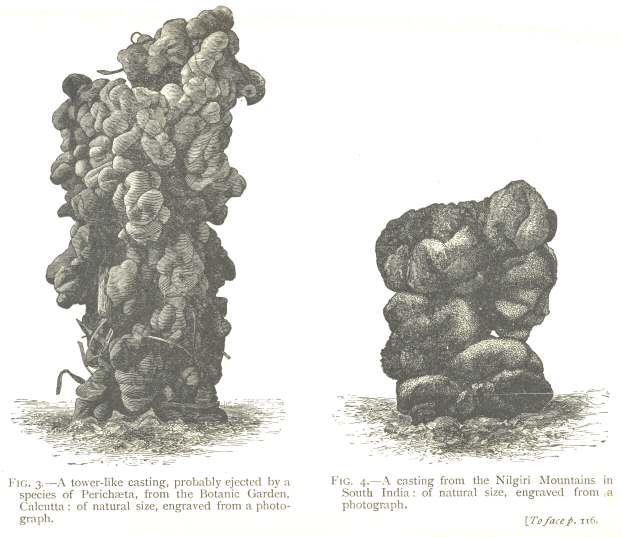 Fig. 3: A tower-like casting.  Fig. 4: A casting from the Nilgiri Mountains