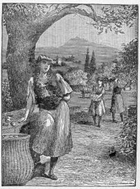 Gathering oranges in the sunny south.