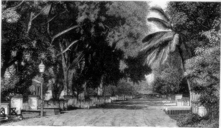 A STREET IN BATAVIA (THE NEW CITY).
