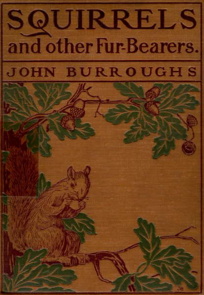 Front cover from another 1900 printing