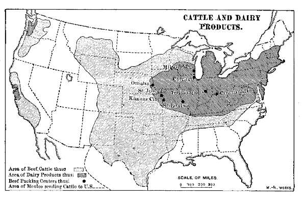 CATTLE AND DAIRY PRODUCTS