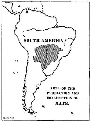 AREA OF THE PRODUCTION AND CONSUMPTION OF MATÉ
