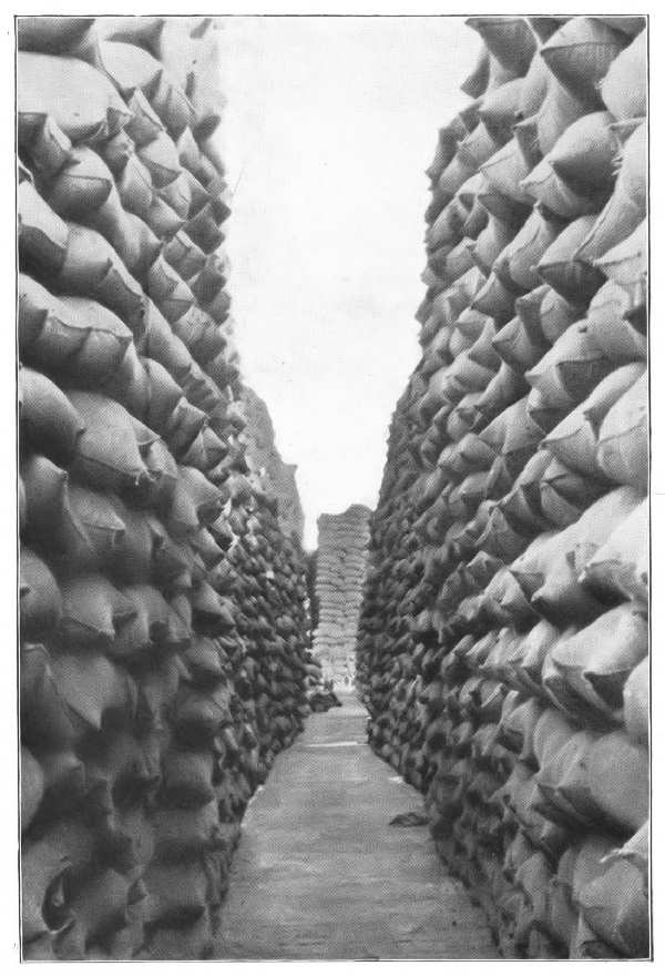 STORING PACIFIC COAST WHEAT