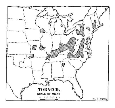 TOBACCO