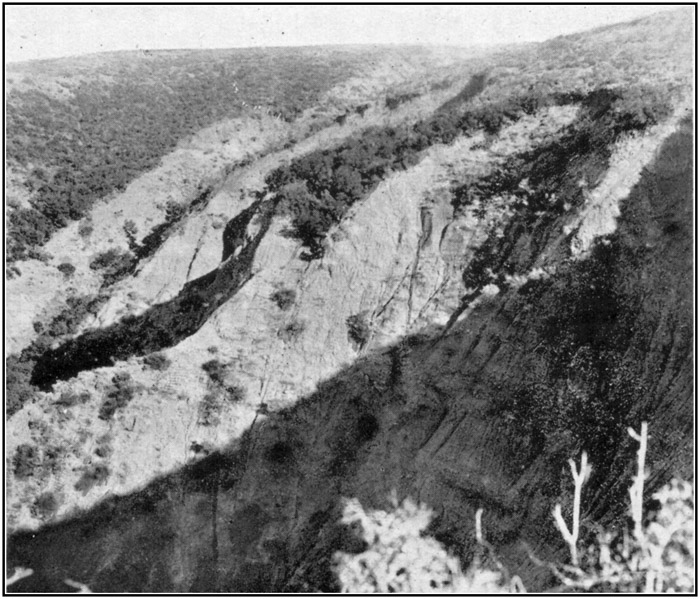 The View from Russell's Top, Looking into Malone Gully