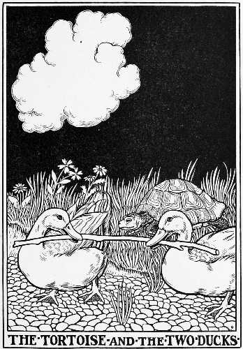 THE TORTOISE AND THE TWO DUCKS.