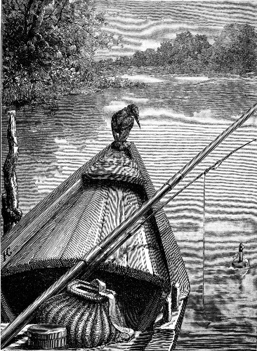 THE DISCONTENTED KINGFISHER. (See p. 81.)
