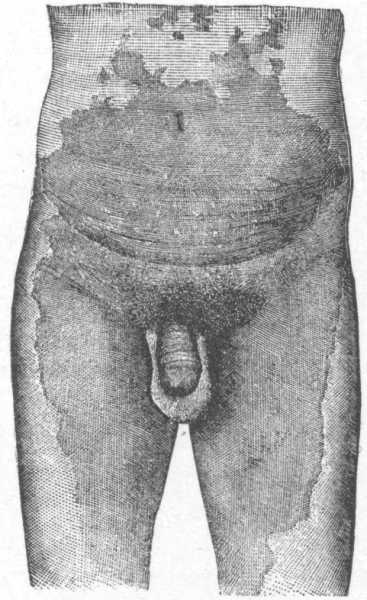 FIG. 68.