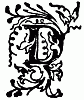 D D