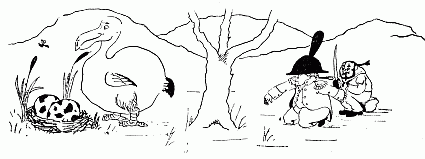 Dodo walking around