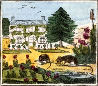 mice in front of house
