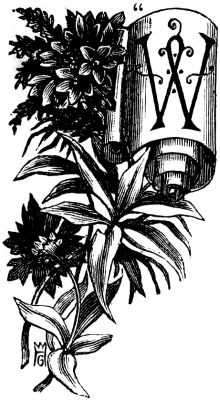 "W "W