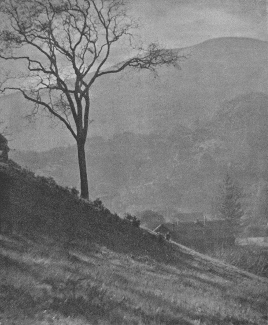 SEAR AUTUMNBy Anson Herrick, San Francisco, Cal. SEAR AUTUMN, By Anson Herrick, San Francisco, Cal.