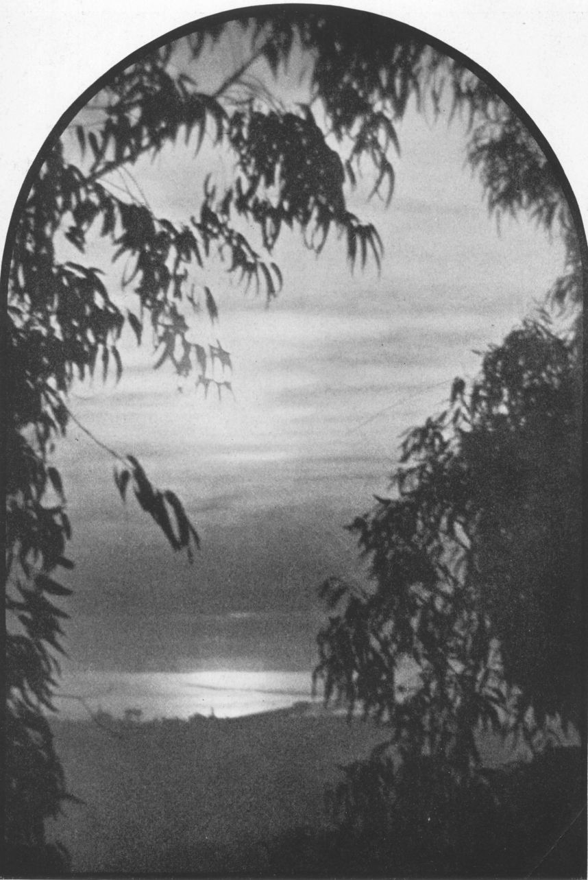 DECORATIVE STUDYBy Henry A. Hussey, Berkeley, Calif. DECORATIVE STUDY, By Henry A. Hussey, Berkeley, Calif.