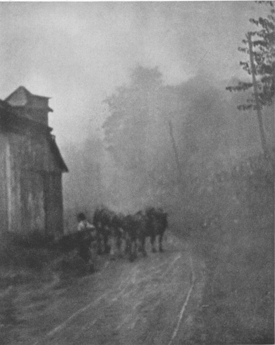 A MISTY MORNINGBy N. S. Wooldridge, Pittsburgh, Pa. A MISTY MORNING, By N. S. Wooldridge, Pittsburgh, Pa.