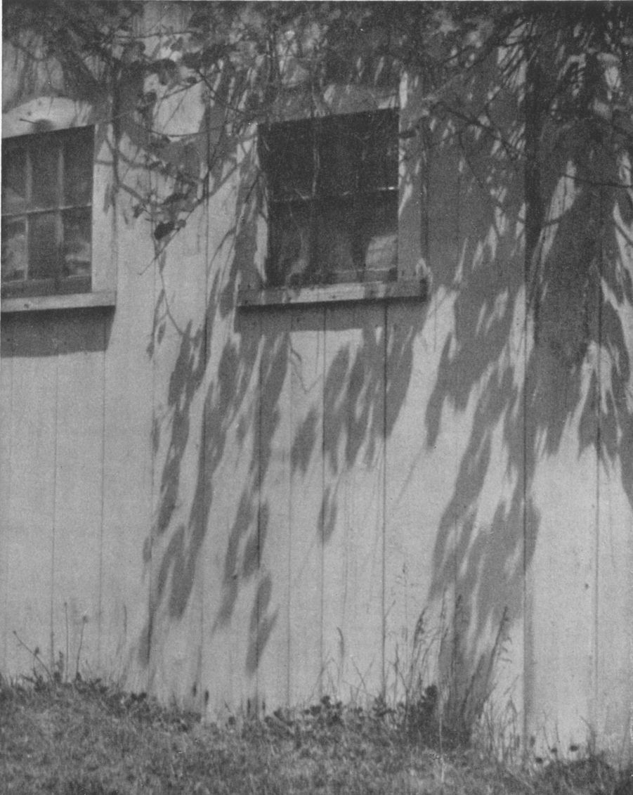 THE PATTERNED WALLBy Mildred Ruth Wilson, Montclair, N. J. THE PATTERNED WALL, By Mildred Ruth Wilson, Montclair, N. J.