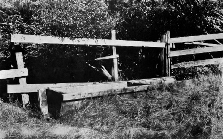 Fig. 95
