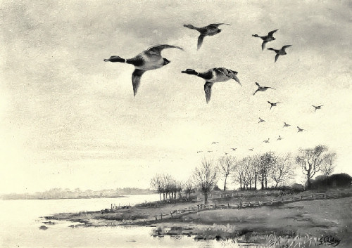 The Fleet at Flight time.