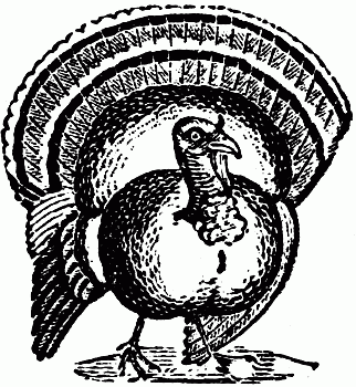 Turkey