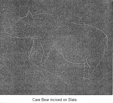 Cave Bear, Incised on Slate.