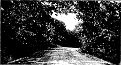 Frontispiece