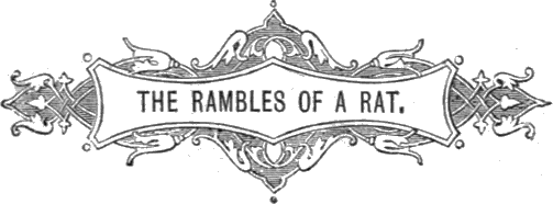 THE RAMBLES OF A RAT. THE RAMBLES OF A RAT.