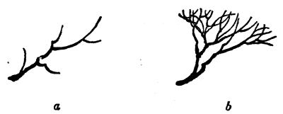 Fig. 18.