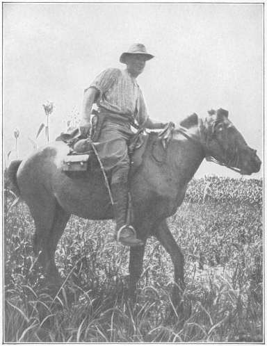 At the front in Manchuria