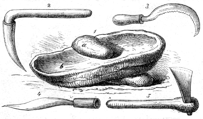 1. Mühle (a. Läufer, b. Bodenstein). 2. Erdhacke. 3. Sichel. 4. Messer. 5. Axt der Abessinier. Originalzeichnung von E. Zander. 1. Mühle (a. Läufer, b. Bodenstein). 2. Erdhacke. 3. Sichel. 4. Messer. 5. Axt der Abessinier.