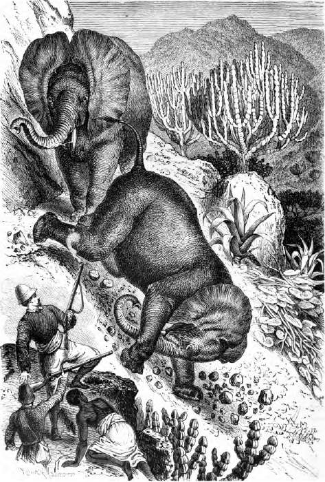 Herzog Ernst von Sachsen-Koburg-Gotha auf der Jagd in Mensa. (Originalzeichnung von R. Kretschmer.) Herzog Ernst von Sachsen-Koburg-Gotha auf der Jagd in Mensa