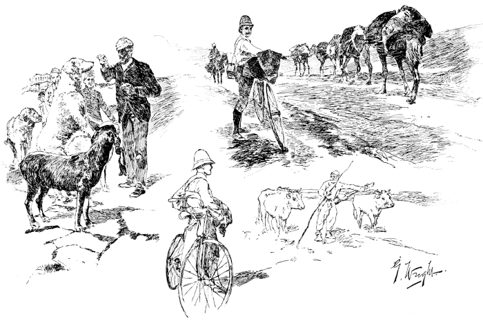 1, THE ENGLISH CONSUL AT ANGORA FEEDING HIS PETS; 2, PASSING A CARAVAN OF CAMELS; 3, PLOWING IN ASIA MINOR. 1, THE ENGLISH CONSUL AT ANGORA FEEDING HIS PETS; 2, PASSING A CARAVAN OF CAMELS; 3, PLOWING IN ASIA MINOR.