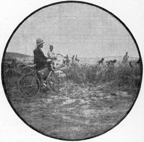 HARVEST SCENE NEAR KHOI. HARVEST SCENE NEAR KHOI.
