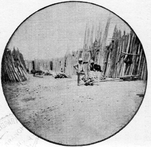 LUMBER-YARD AT TABREEZ. LUMBER-YARD AT TABREEZ.