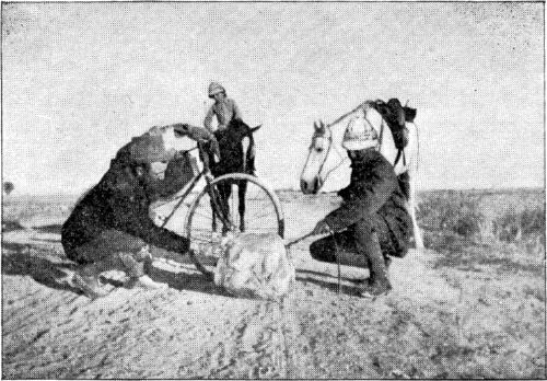 GIVING A “SILENT PILGRIM” A ROLL TOWARD MESHED. GIVING A 'SILENT PILGRIM' A ROLL TOWARD MESHED.