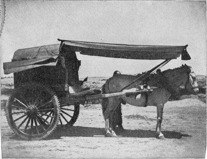STYLISH CART OF A CHINESE MANDARIN. STYLISH CART OF A CHINESE MANDARIN.