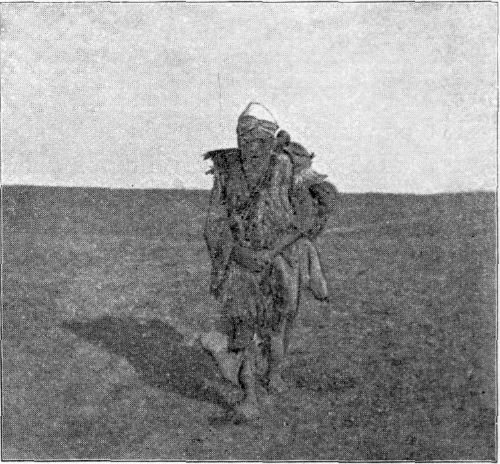 A CHINESE PEDDLER FROM BARKUL. A CHINESE PEDDLER FROM BARKUL.