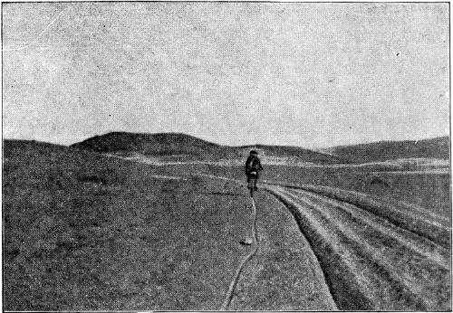 A TRAIL IN THE GOBI DESERT. A TRAIL IN THE GOBI DESERT.