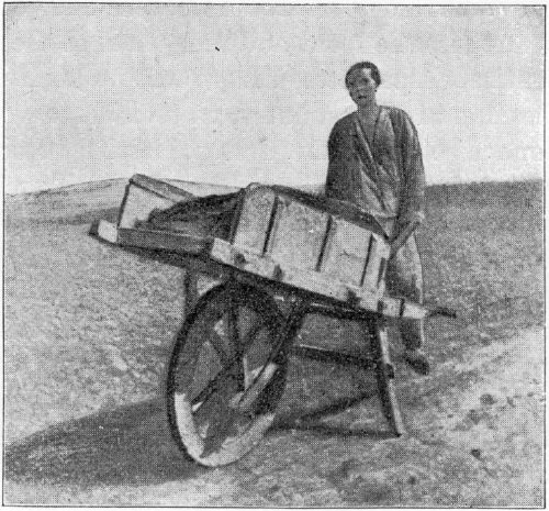 A CHINAMAN’S WHEELBARROW. A CHINAMAN'S WHEELBARROW.